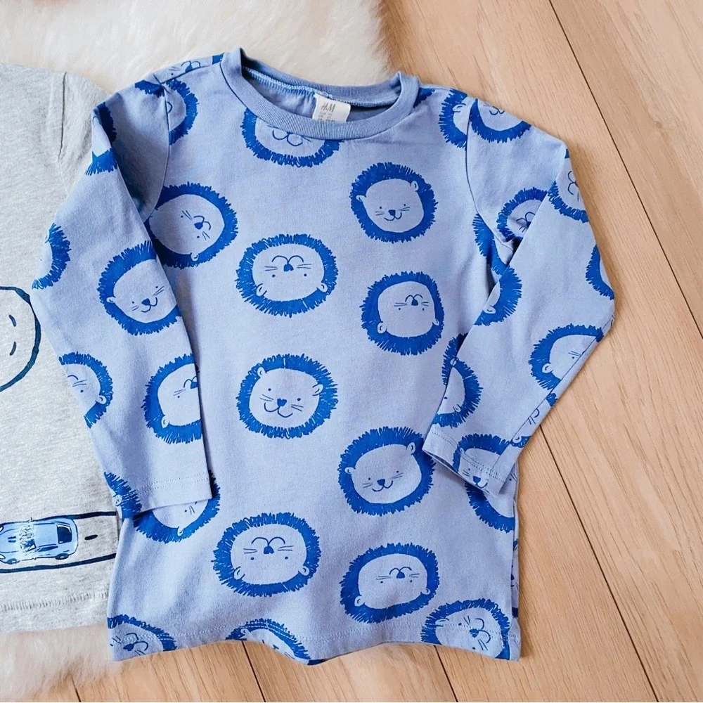Boys bundle of clothes, size 2T
